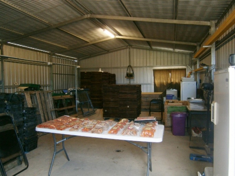 116 Eagle Lane, Koraleigh NSW 2735