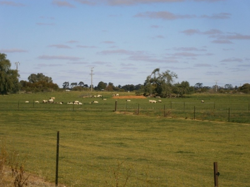 82 Hobson Road, Vinifera VIC 3591