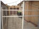 9 Rogerson Street, Avondale Heights VIC 3034