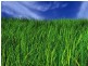 LOT 1 Parwan-exford Road, Parwan VIC 3340