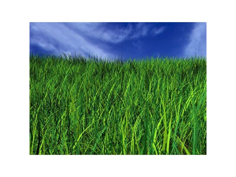 LOT 1 Parwan-exford Road, Parwan VIC 3340