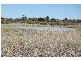 1 Pratt Court, Werribee VIC 3030