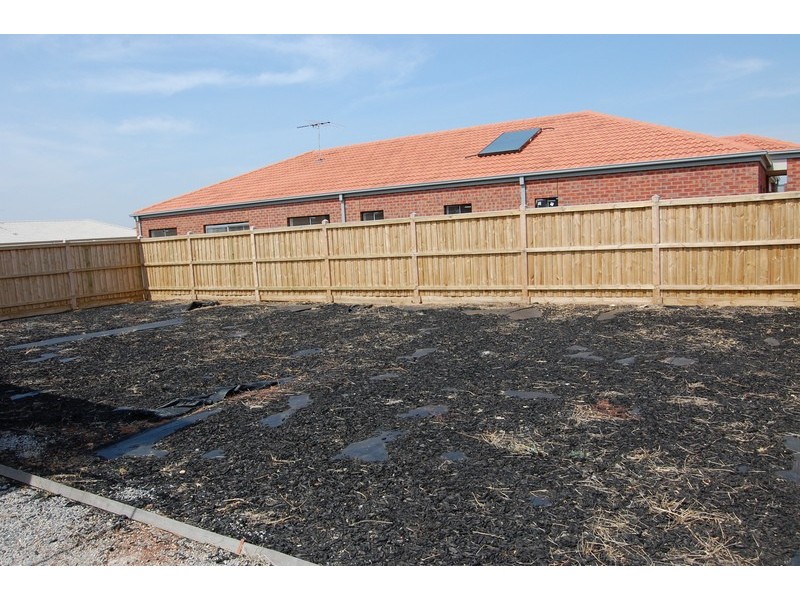 59 Daintree Boulevard, Tarneit VIC 3029