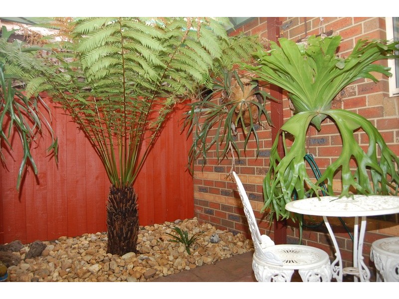 2/114 Purchas Street, Werribee VIC 3030