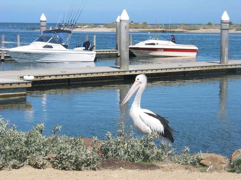 3 Perch Close, Werribee South VIC 3030