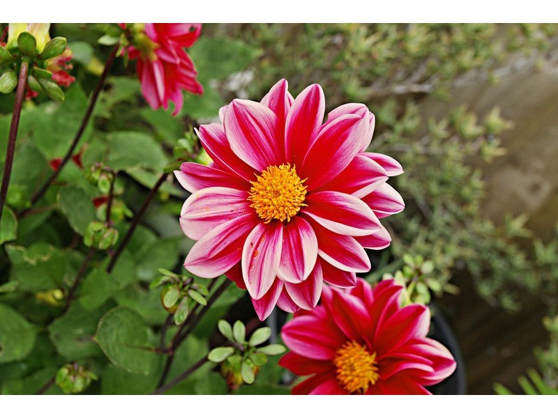 30 Tyquin Street, Laverton VIC 3028