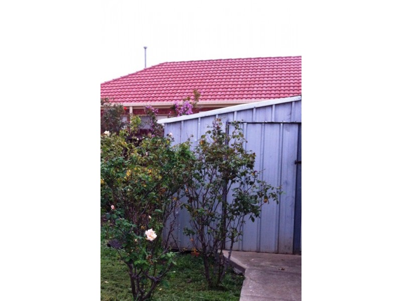 17 Alsace Avenue, Hoppers Crossing VIC 3029