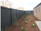 3 Pinjar Avenue, Tarneit VIC 3029