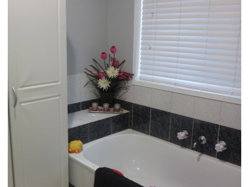 36 Hickory Street, Thurgoona NSW 2640