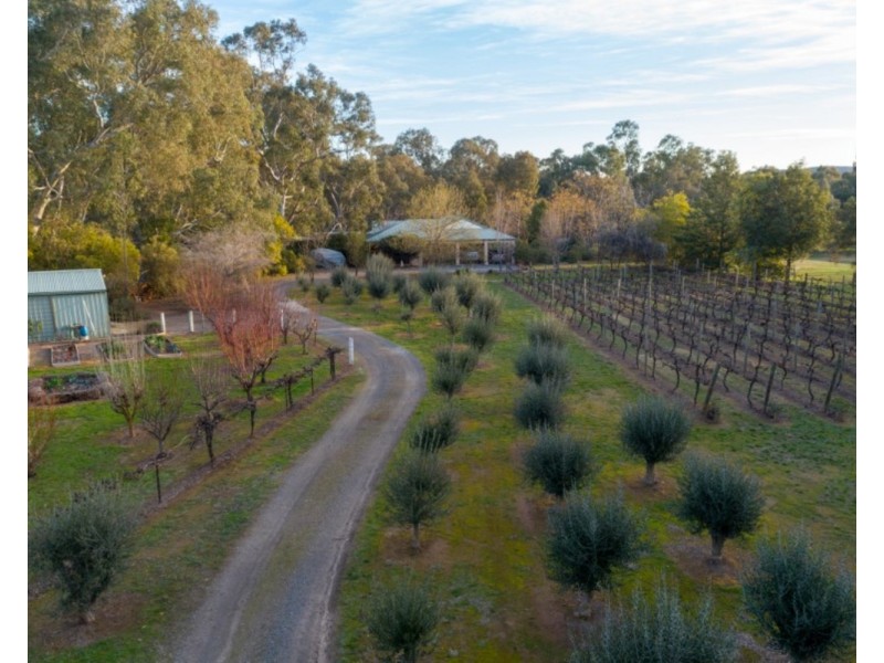 29 Indigo Drive, Barnawartha VIC 3688