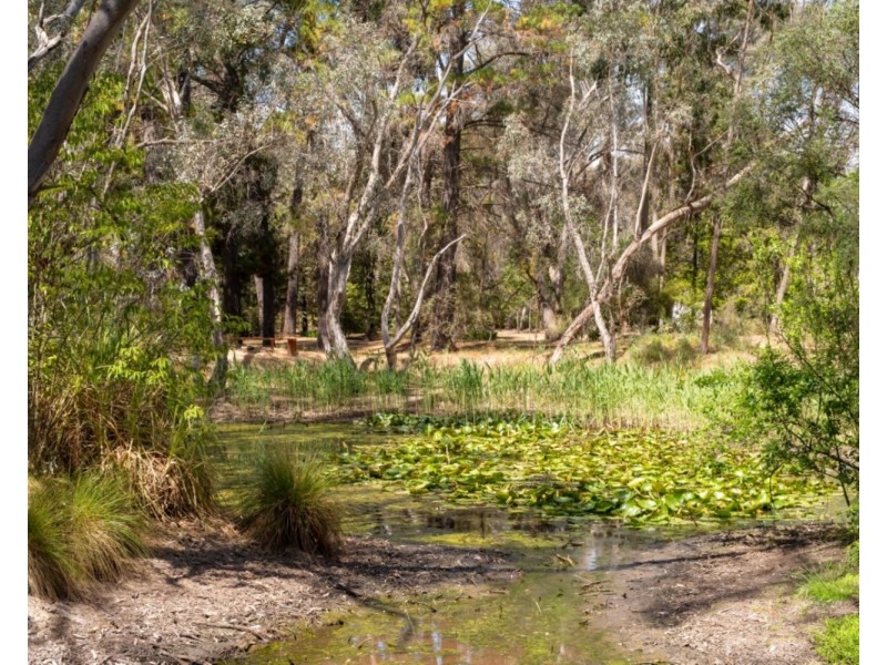 105 Conness Street, Chiltern VIC 3683