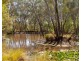 105 Conness Street, Chiltern VIC 3683