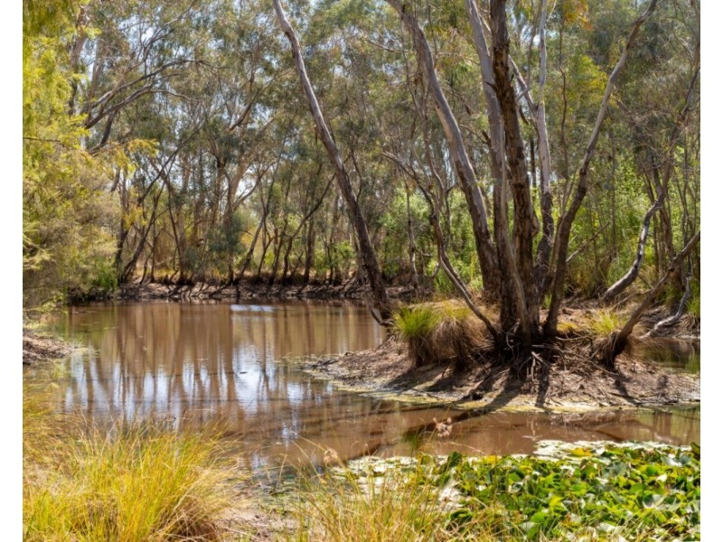 105 Conness Street, Chiltern VIC 3683
