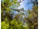 105 Conness Street, Chiltern VIC 3683