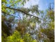 105 Conness Street, Chiltern VIC 3683