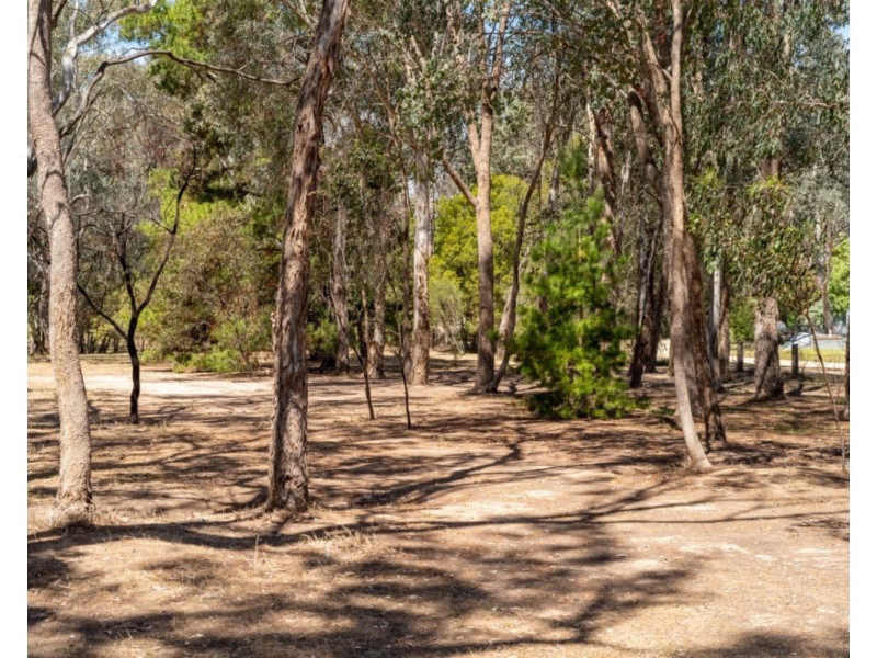 105 Conness Street, Chiltern VIC 3683