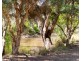 105 Conness Street, Chiltern VIC 3683