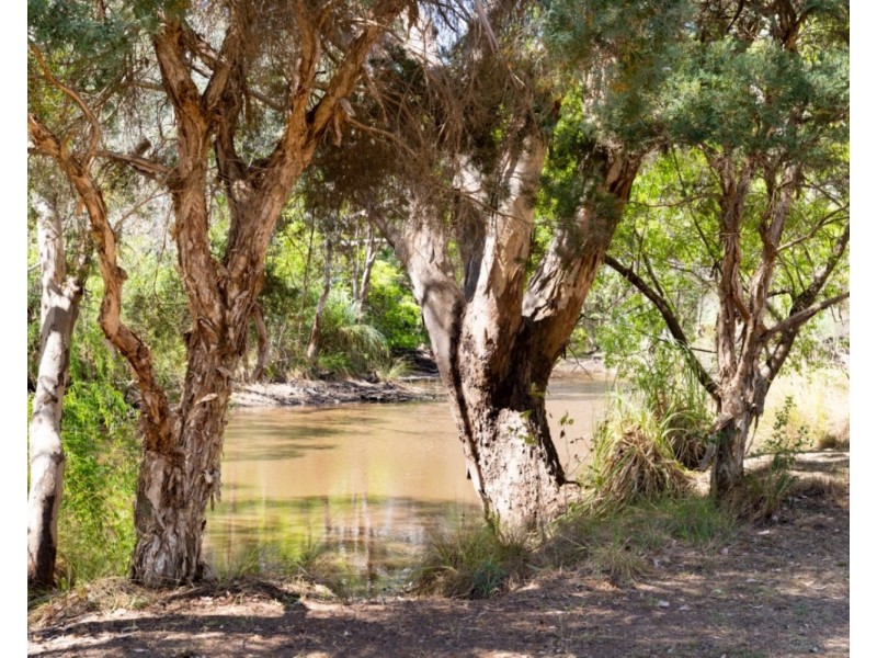 105 Conness Street, Chiltern VIC 3683