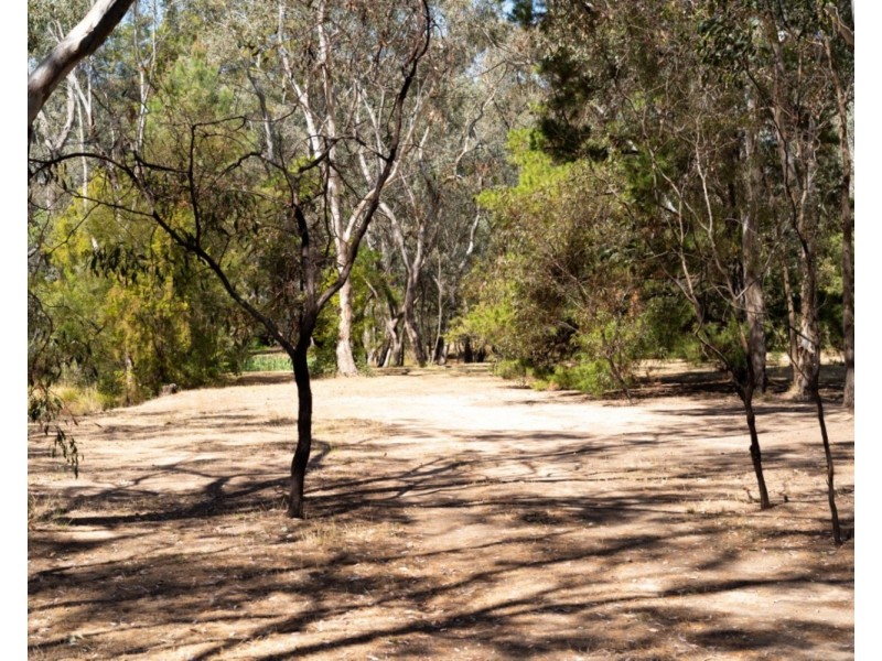 105 Conness Street, Chiltern VIC 3683