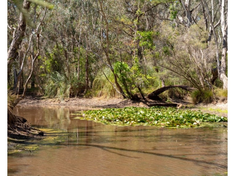 105 Conness Street, Chiltern VIC 3683