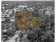 105 Conness Street, Chiltern VIC 3683