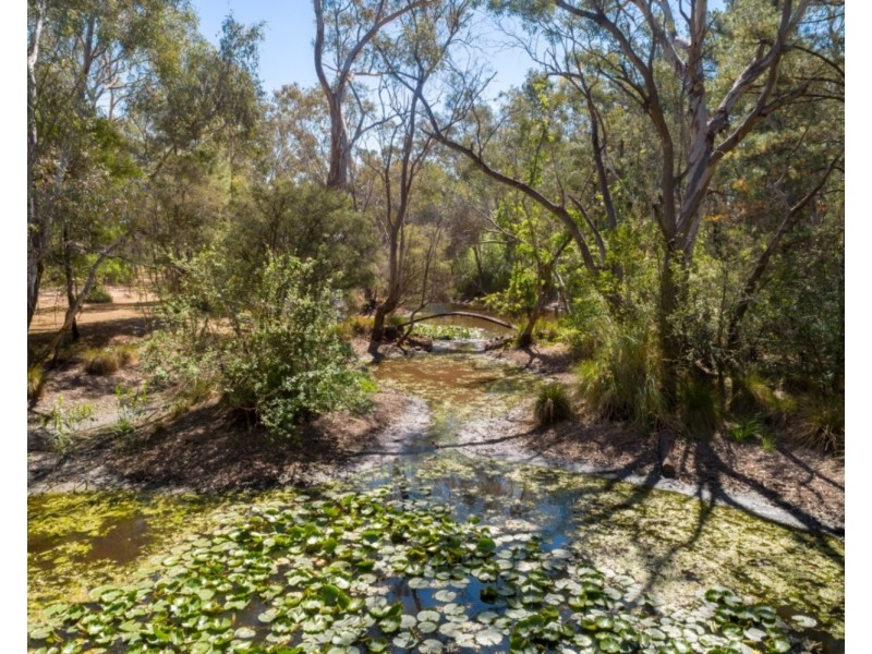 105 Conness Street, Chiltern VIC 3683