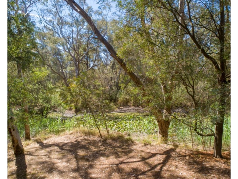 105 Conness Street, Chiltern VIC 3683