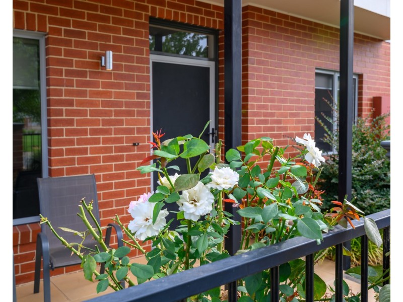 11 Elmwood Circuit, Wodonga VIC 3690