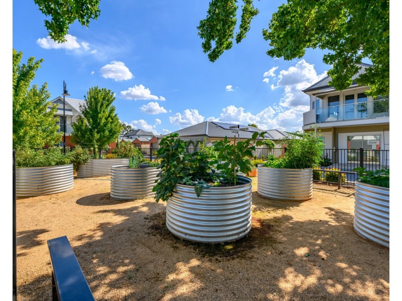 11 Elmwood Circuit, Wodonga VIC 3690