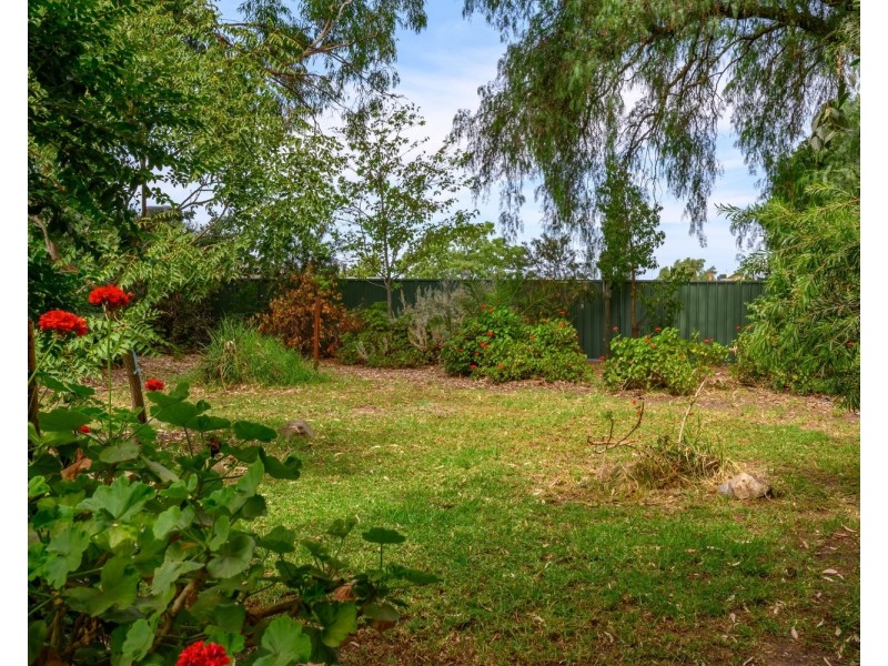 46 Pell Street, Howlong NSW 2643