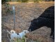 360 Whytes Road, Baranduda VIC 3691