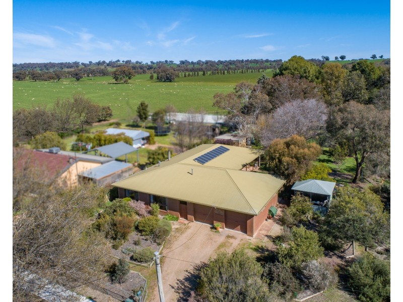 56 Urana Road, Burrumbuttock NSW 2642