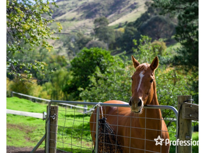 2 Dyring Street, Bethanga VIC 3691