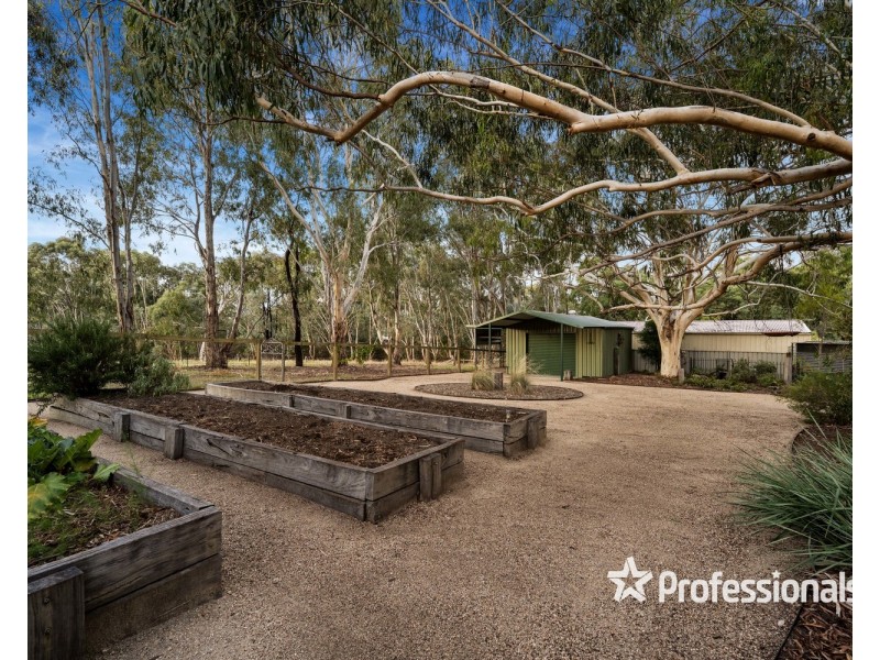 13 Stenzel Crescent, Baranduda VIC 3691