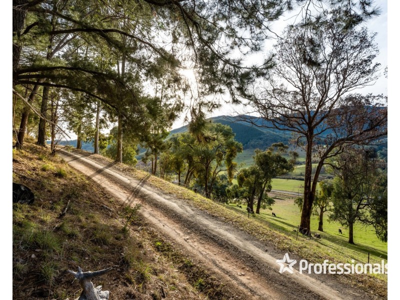 82 Bridget Lane, Ovens VIC 3738