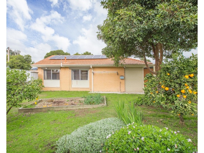4 Wright Court, Wodonga VIC 3690