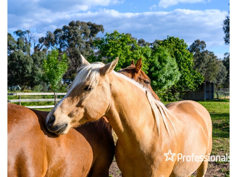 2/4 Palmerston Street, Barnawartha VIC 3688