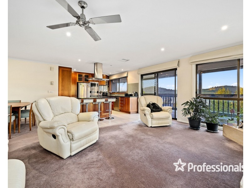 3 Vista Court, Bellbridge VIC 3691