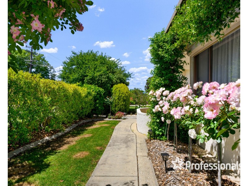 87 Mitchell Street, Wodonga VIC 3690