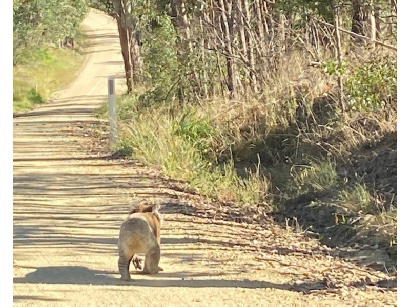 330 Ennis Road, Leneva VIC 3691