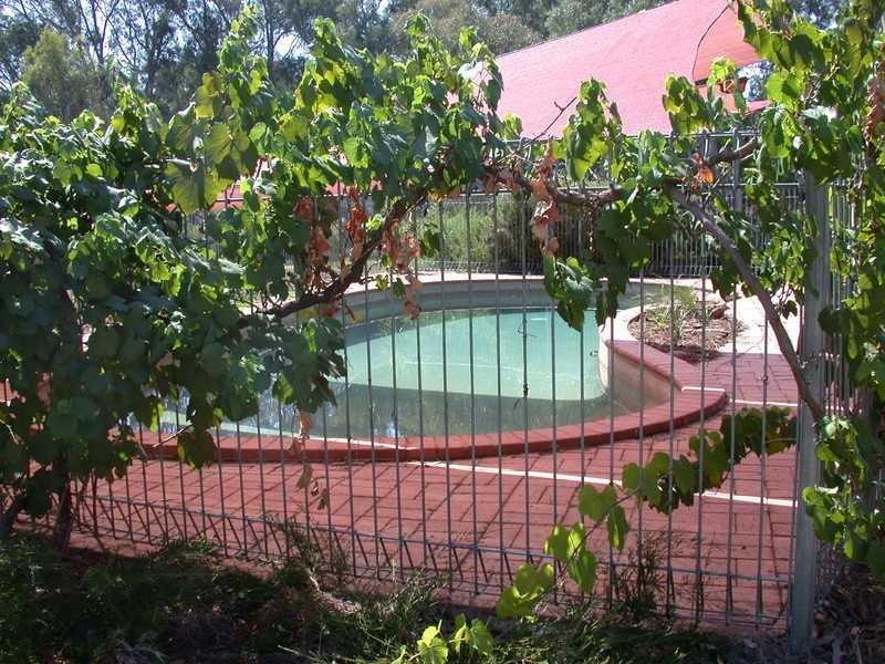 717 Chiltern Valley Road, Chiltern Valley VIC 3683