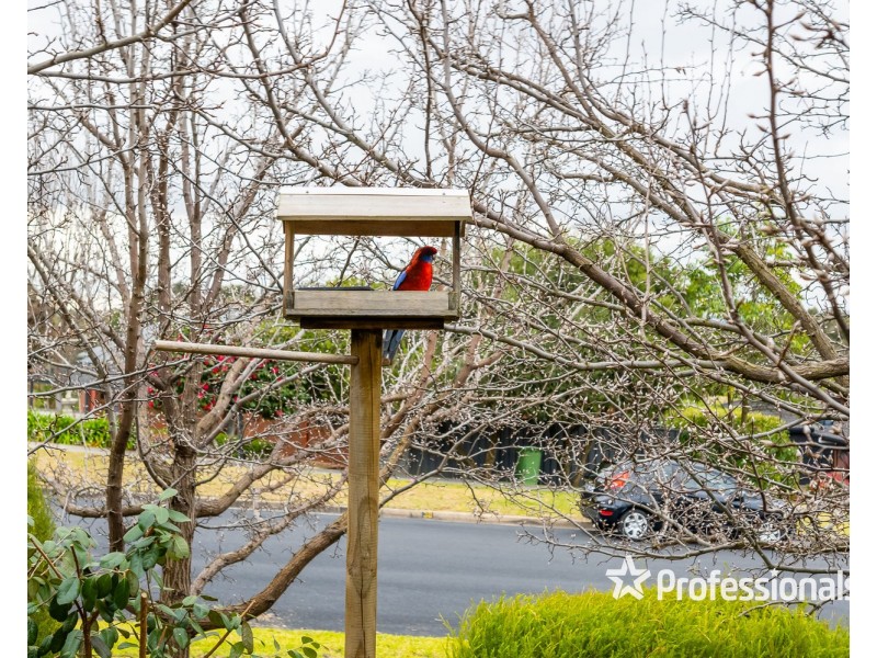 41 Hartwig Road, Wodonga VIC 3690