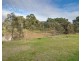 10 Balmain Place, Lavington NSW 2641