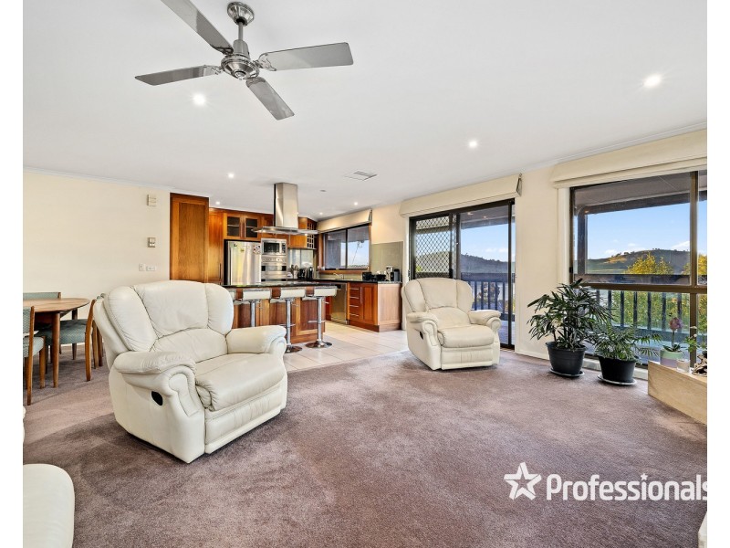 3 Vista Court, Bellbridge VIC 3691
