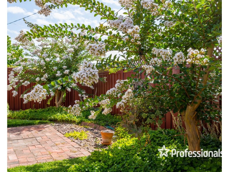 55 Leonard Street, Wodonga VIC 3690