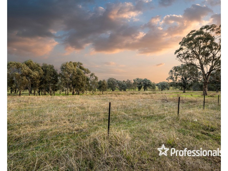 5 Rodeo Drive, Thurgoona NSW 2640