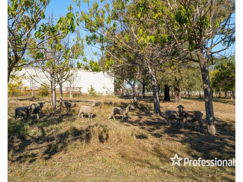15-21 Bullecourt Road, Corowa NSW 2646