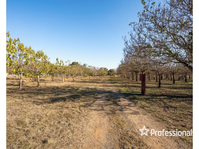 15-21 Bullecourt Road, Corowa NSW 2646