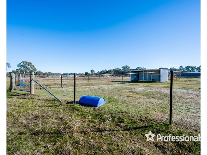 18 Moffat Road, Chiltern VIC 3683