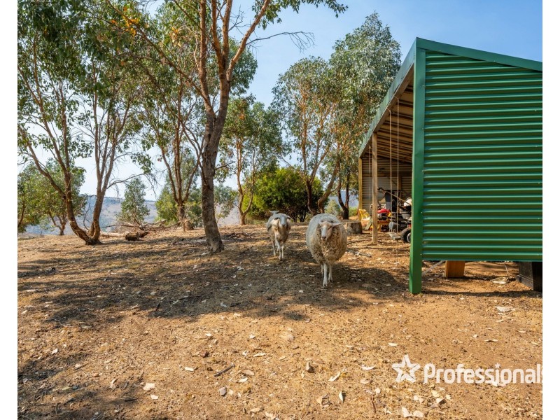 330 Ennis Road, Leneva VIC 3691